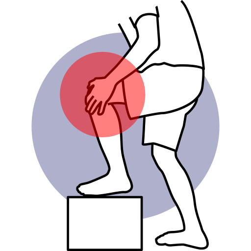 Knee